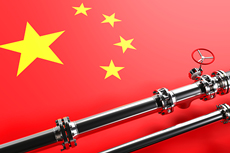 Russia bans NGO for ‘sabotaging’ gas pipeline