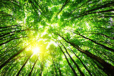 Kinder Morgan issues 2023 Sustainability Report