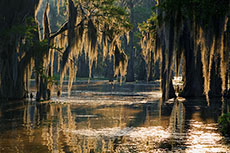 CH2M announces Blue Hammock Bayou natural infrastructure project