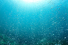 Saipem will ensure the subsea intervention services for the Libya - Italy pipeline